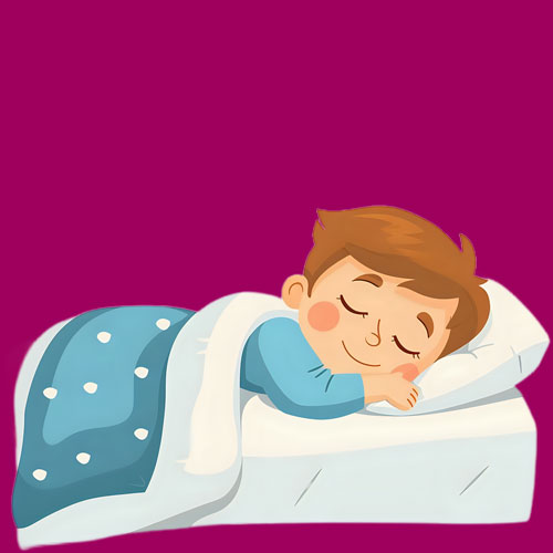 Bedding & Pillows