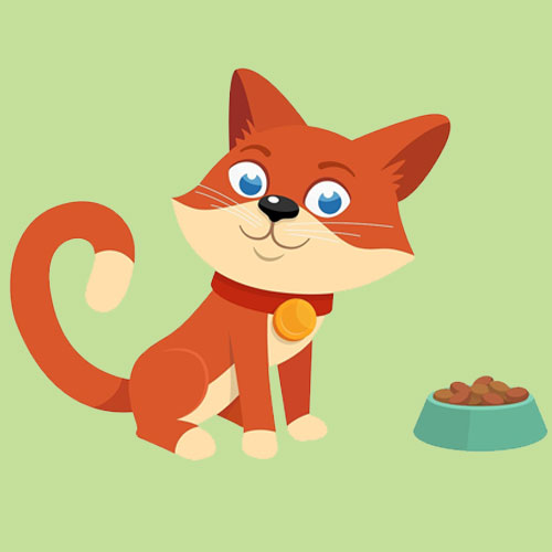 Cat Food & Treats