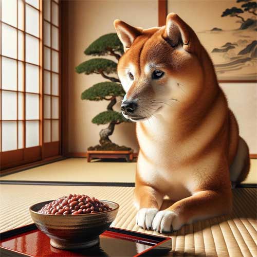 Dog Food & Treats