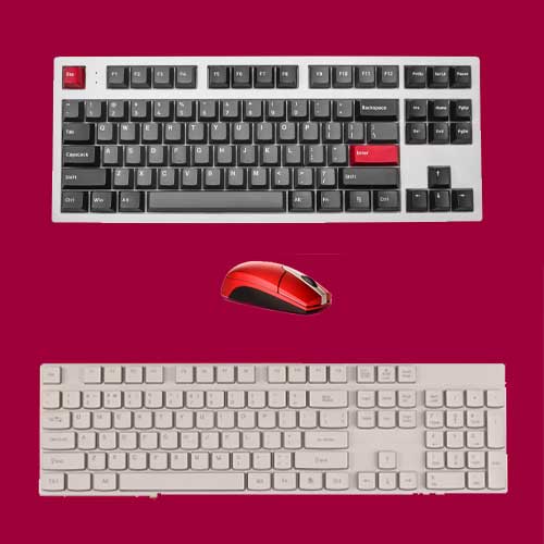 Keyboards & Mice