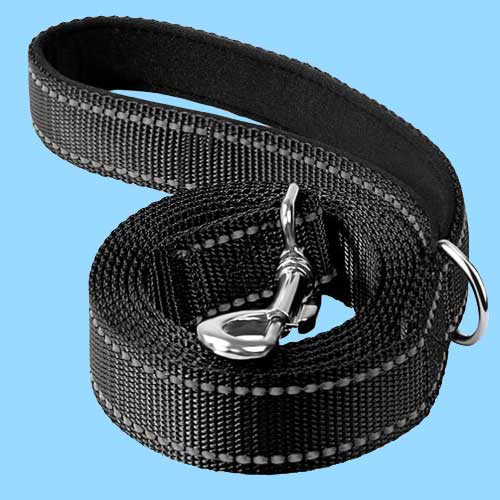 Leashes, Collars & Harnesses